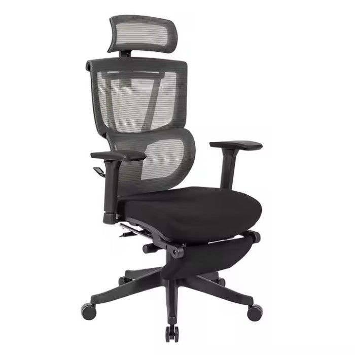 OXFORD Ergonomic Chair