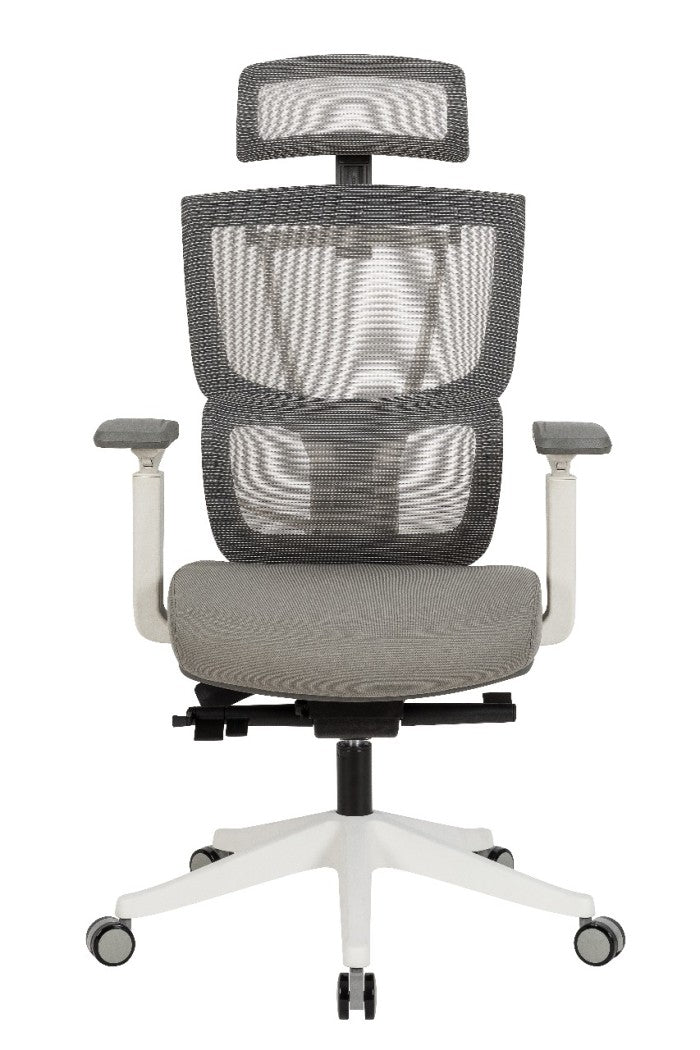 OXFORD Ergonomic Chair