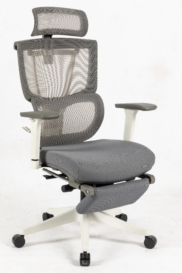 OXFORD Ergonomic Chair