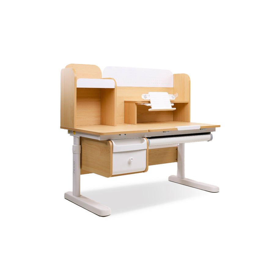 CASTLE Kids Ergonomic Desk