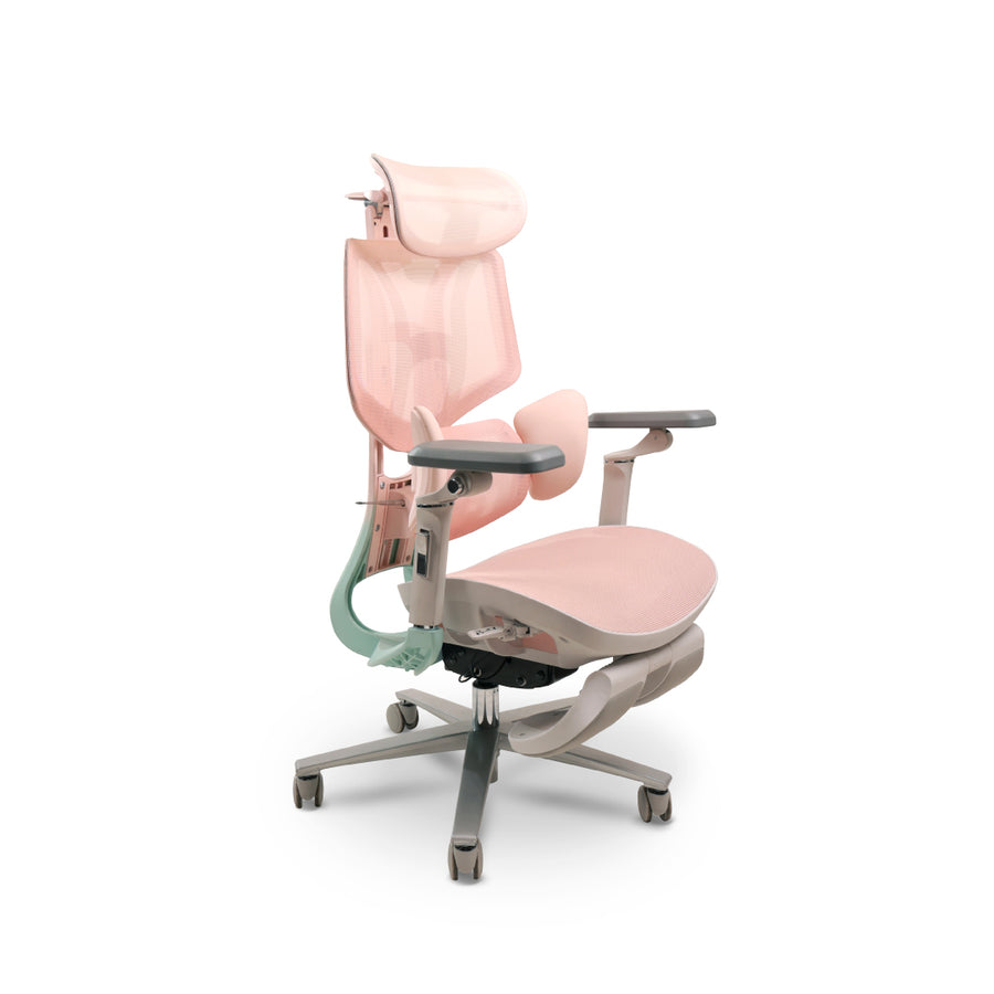 EVOLVE 3 Ergonomic Chair PEXIO x HBADA