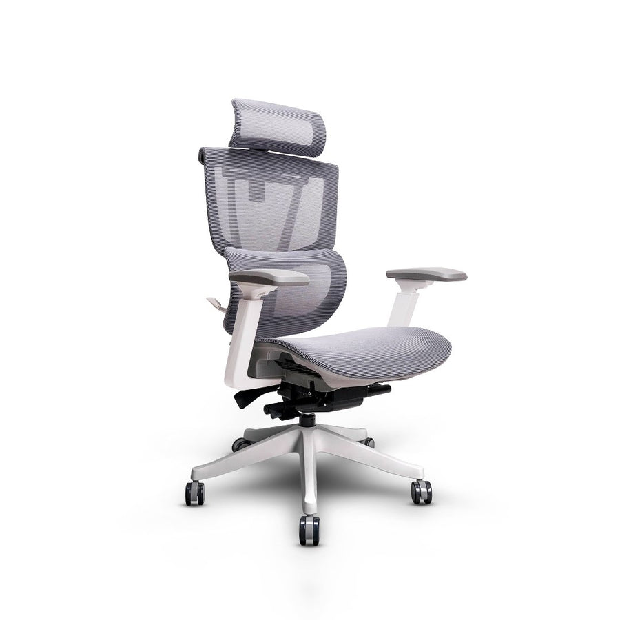 OXFORD Ergonomic Chair without Footrest