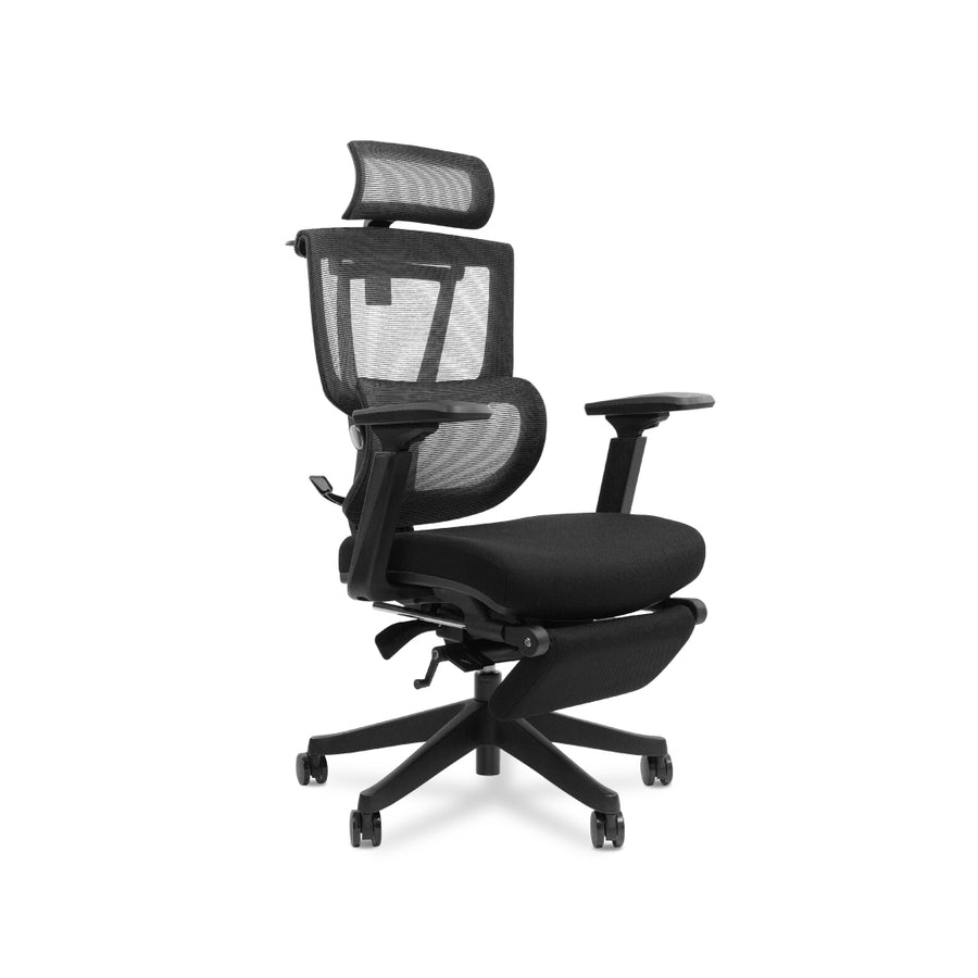 OXFORD Ergonomic Chair