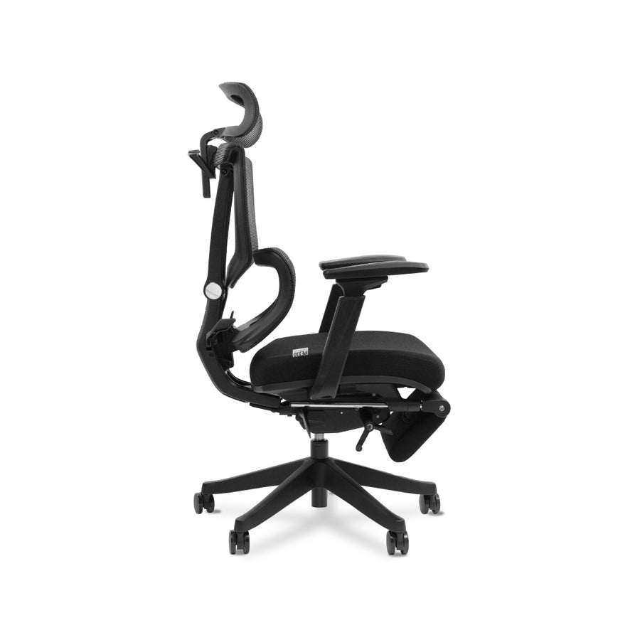 OXFORD Ergonomic Chair