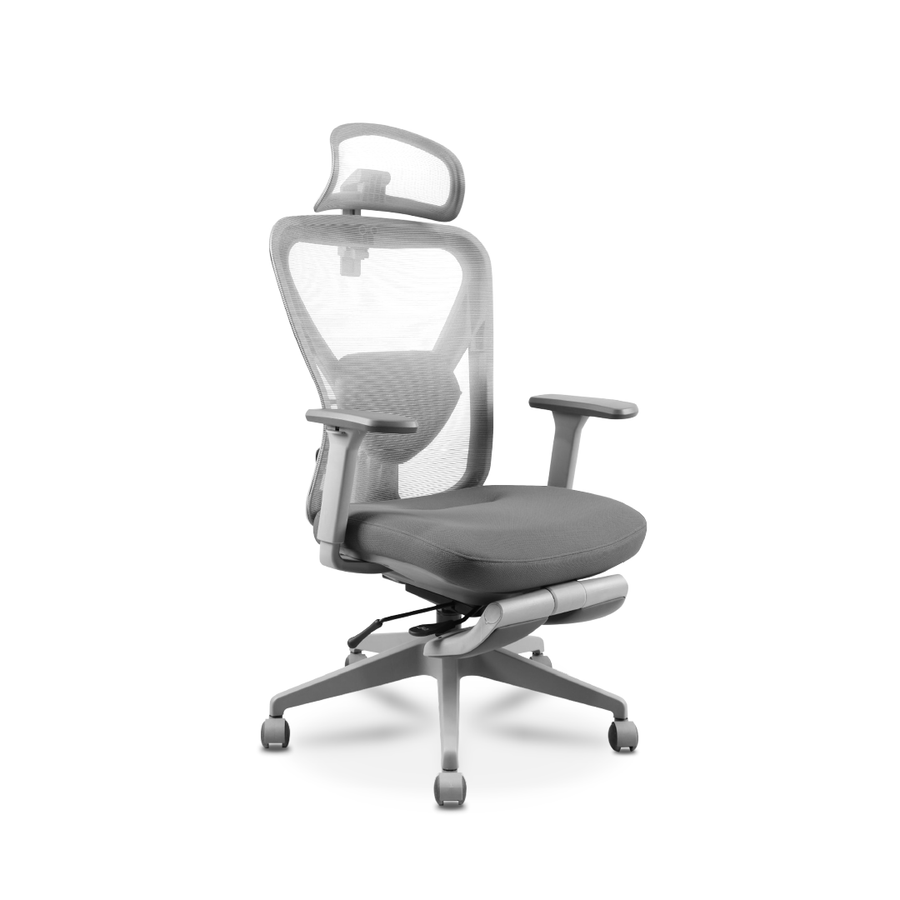 RHODES Ergonomic Chair