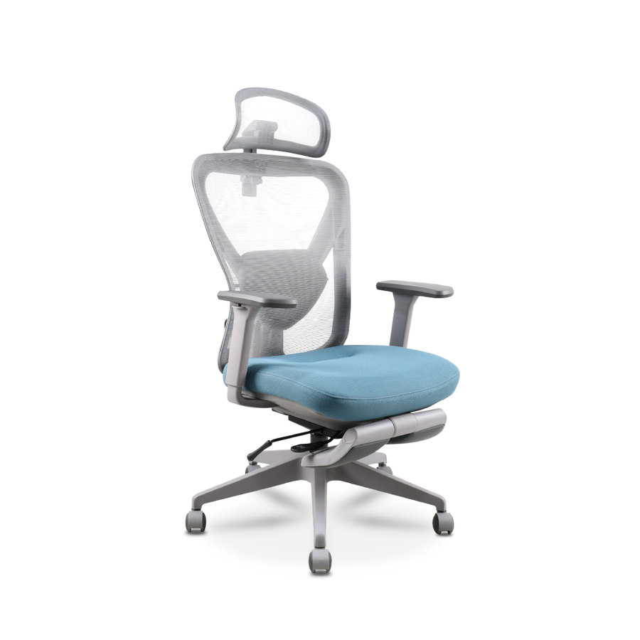 RHODES Ergonomic Chair