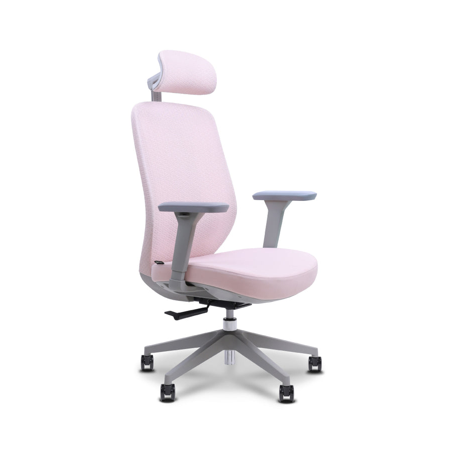 RILEY Ergonomic Chair