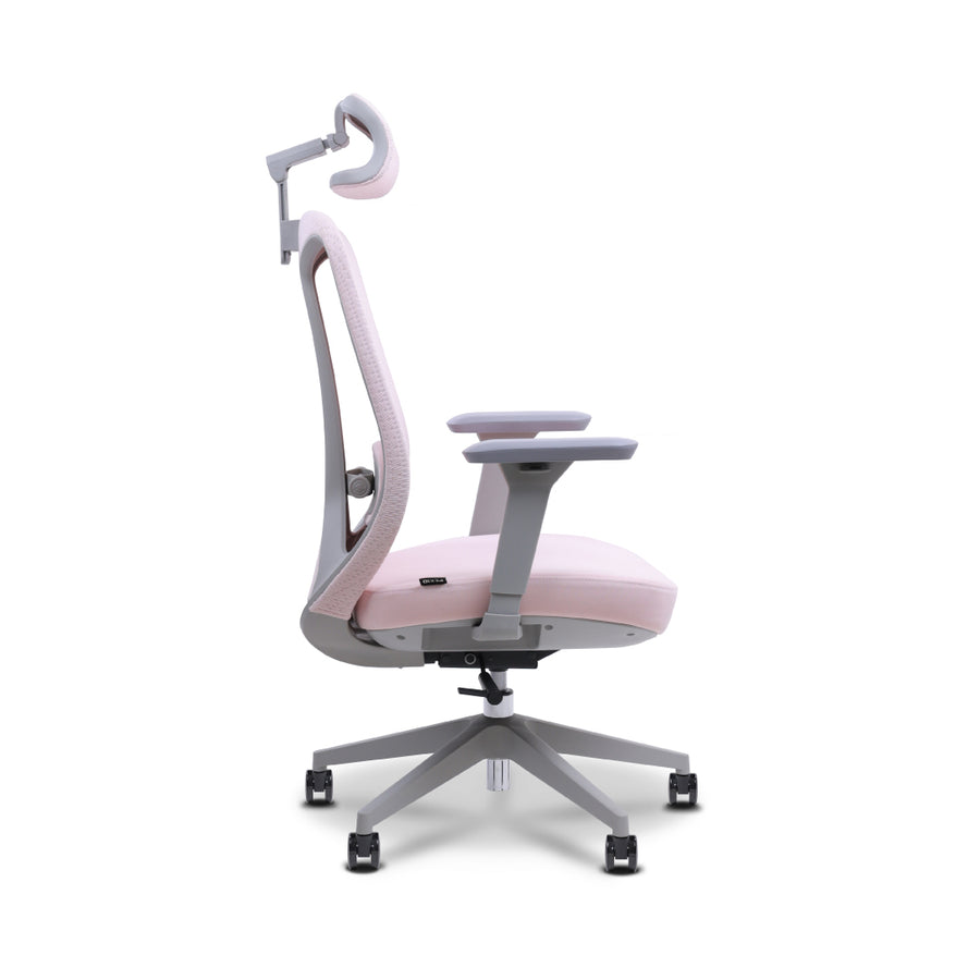 RILEY Ergonomic Chair