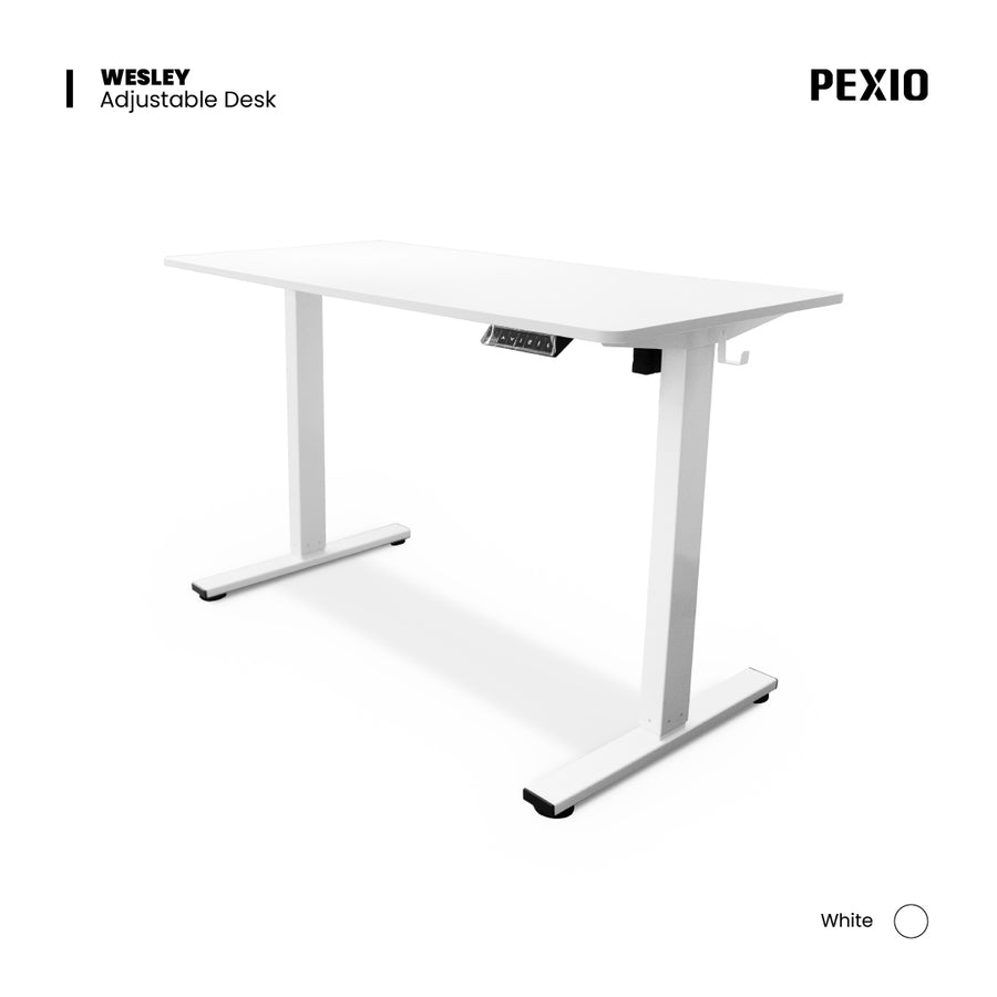 Wesley 120 x 60 Ergonomic Desk