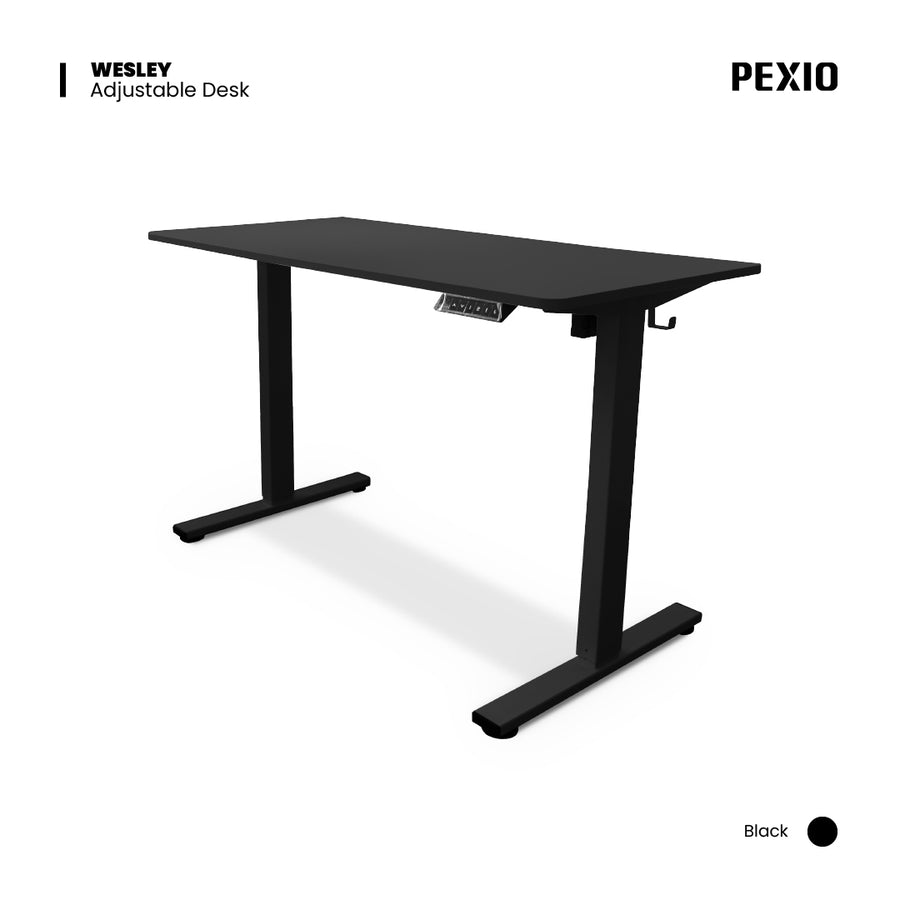 Wesley 120 x 60 Ergonomic Desk