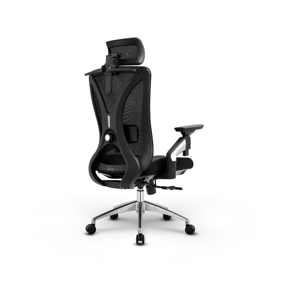 Buy TAYLOR Ergonomic Chair Get Discounted Price – Tumbuh